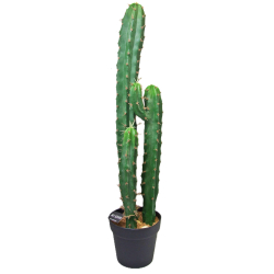 Kaktus dekoracyjny Potrójny 95cm